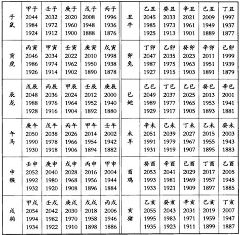 生肖天干地支|农历网